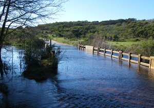 Oue gegroet Nuwe Verwelkom